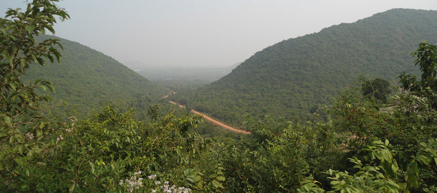 odisha-tour-packages