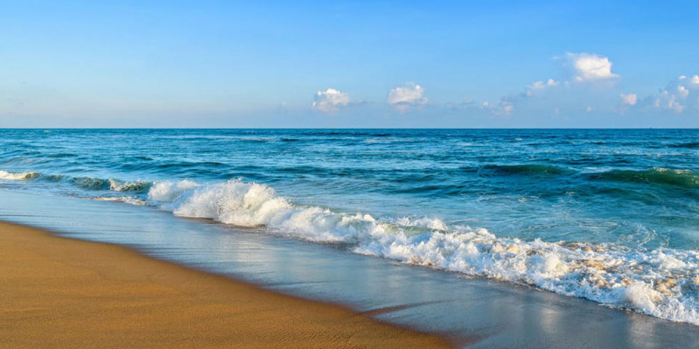 Family-Holidays-Made-Easy-with-Odisha-Family-Tour-Packages-Affordable-Trips-to-Puri-Bhubaneswar-Konark-and-Chilika-Lake