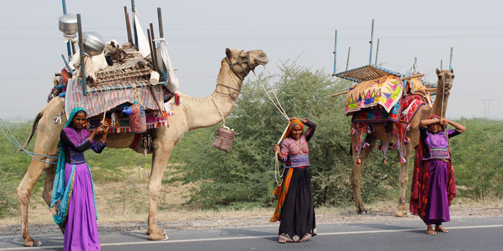 Gujarat-Tribal-Tour-Experience-the-Rich-Heritage-and-Cultural-Traditions-of-Western-India